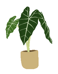 Black Velvet Greenery Sticker