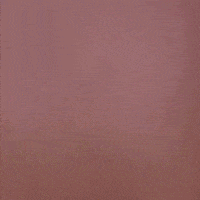 GIF by Brittlestar