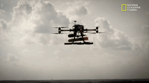 GIF by National Geographic Channel
