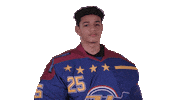 Ice Hockey No Sticker by Zero Chill