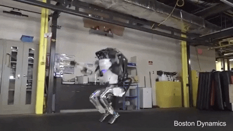 tulsimo giphygifmaker GIF