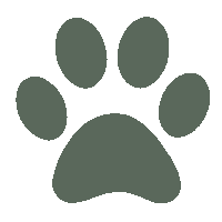 pawsandmemories knipperend pawsandmemories hondenpoot knipperendehondenpoot Sticker