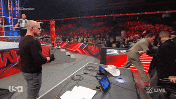 Wwe Wrestling GIF by USA Network