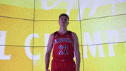 Wildcats GIF by Arizona Men's Basketball