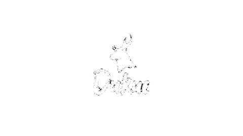 Dikiye_crew giphyupload trailrunning dikiye трейлраннинг Sticker
