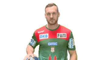 Handball-Bundesliga Ball Sticker by LIQUI MOLY HBL