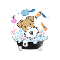 Grooming Wire Fox Terrier Sticker