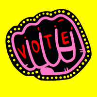 vote voting GIF by ABC Indigenous