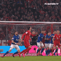 Champions League Football GIF by FC Bayern Munich