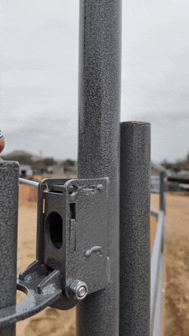 redskipper19 giphyupload GIF