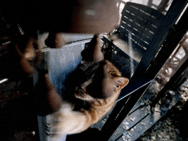 Big Boi GIF by Outkast