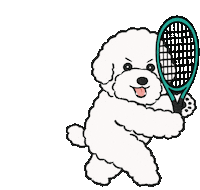 Dttennis Sticker by DT