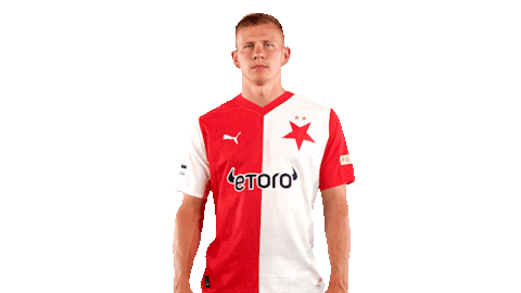 Football Soccer Sticker by SK Slavia Praha