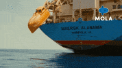 War Fight GIF by MolaTV