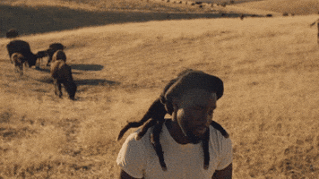 Country Music Nashville GIF by Shaboozey