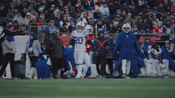 Football Nfl GIF by New England Patriots