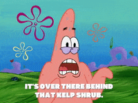 season 6 porous pockets GIF by SpongeBob SquarePants