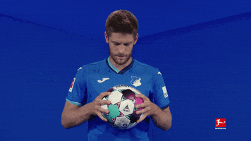 Tsg Hoffenheim Spinning GIF by Bundesliga
