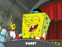 season 5 GIF by SpongeBob SquarePants