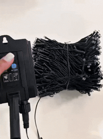 GIPHYGIP1 giphyupload GIF