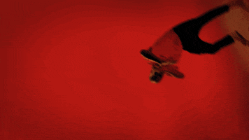 red friday fuck donald trump GIF by YG