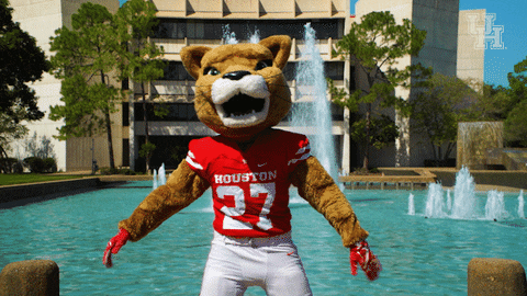 houstoncougars giphyupload houston sasha gocoogs GIF