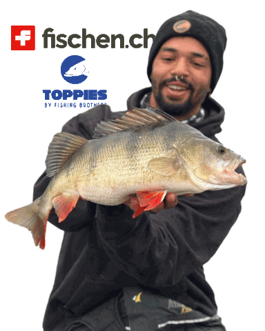 fischench fishing perch fischen barsch Sticker