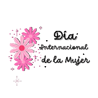 Woman Sticker by Stylo Glazer - Soy Pink Sil