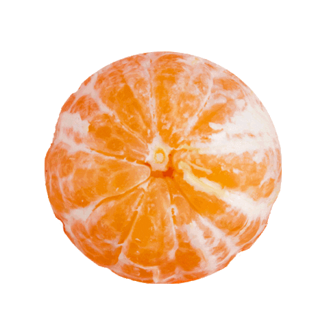 Orange Mandarin Sticker by Fresh Line