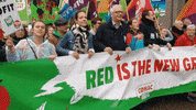 redisthenewgreen linedewitte GIF by PVDA