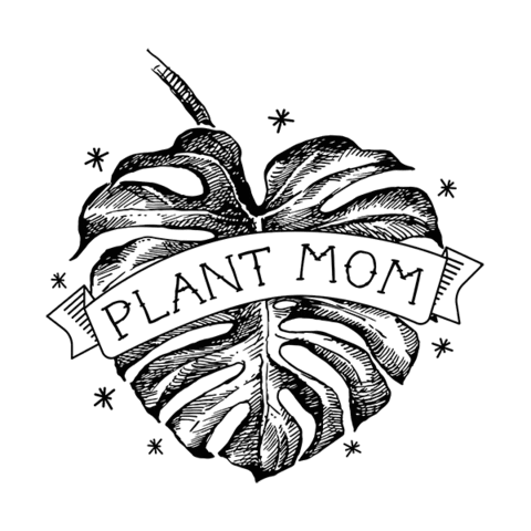 onlyfrond giphyupload plant plants plant mom Sticker