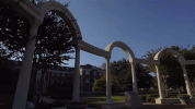 college conway GIF by University of Central Arkansas