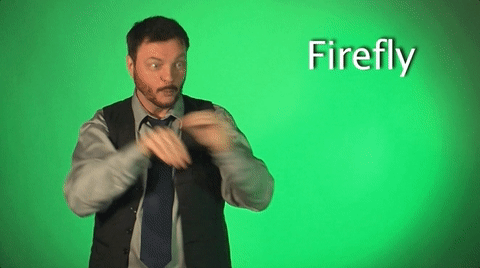 sign language firefly GIF by Sign with Robert