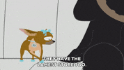 dog GIF by South Park 