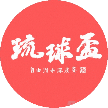 Vd Sticker by VDfreediving