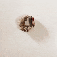 GIF by Zenchies