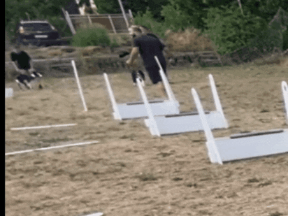 Flyballjokers GIF