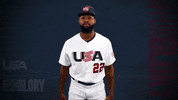 Pro GIF by USA Baseball