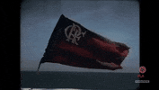 flamengo st nrn stfla nacaocrf GIF