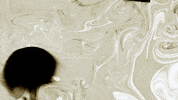 ink matthias brown GIF