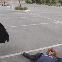 Victory Winning GIF by BLoafX