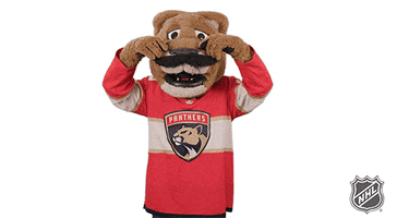 Ice Hockey GIF by NHL