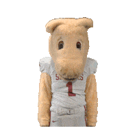 College Sports Oklahoma Sticker by College Colors Day