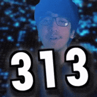 313