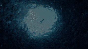 GiantSquidStudios ocean fish sea peaceful GIF