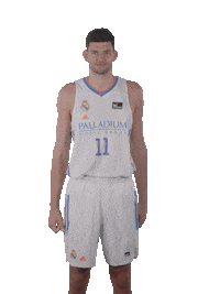 Vamos Real Madrid Sticker by ACB