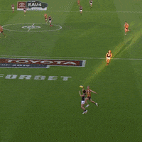 GIF by AFL