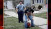 world's fails GIF by World’s Funniest