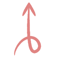 Arrows Seta Sticker by Analice Frizon