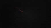 David Guetta GIF by Jason Derulo